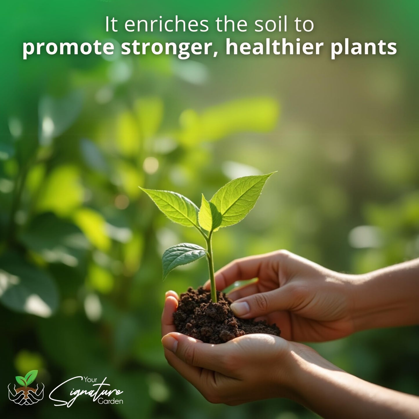 Laeto Top Soil 35L x 2 (70L) – Top Soil for Garden & Landscaping Premium Garden Soil for Plants, Lawns & Flowers – Rich Organic Soil for Healthy Growth