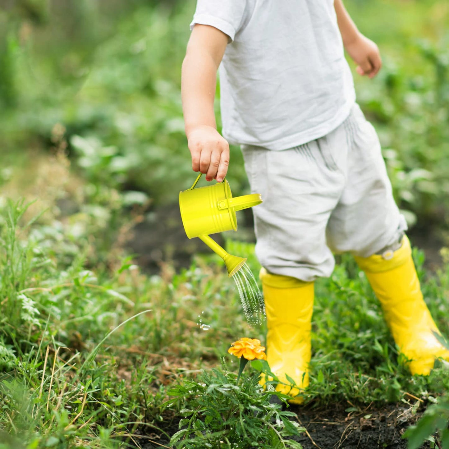 Yardwe Watering Cans Childrens Water Can: Mini Small Kids Water Pots for Outdoor Indoor House Plants 5PCS (Random Color)