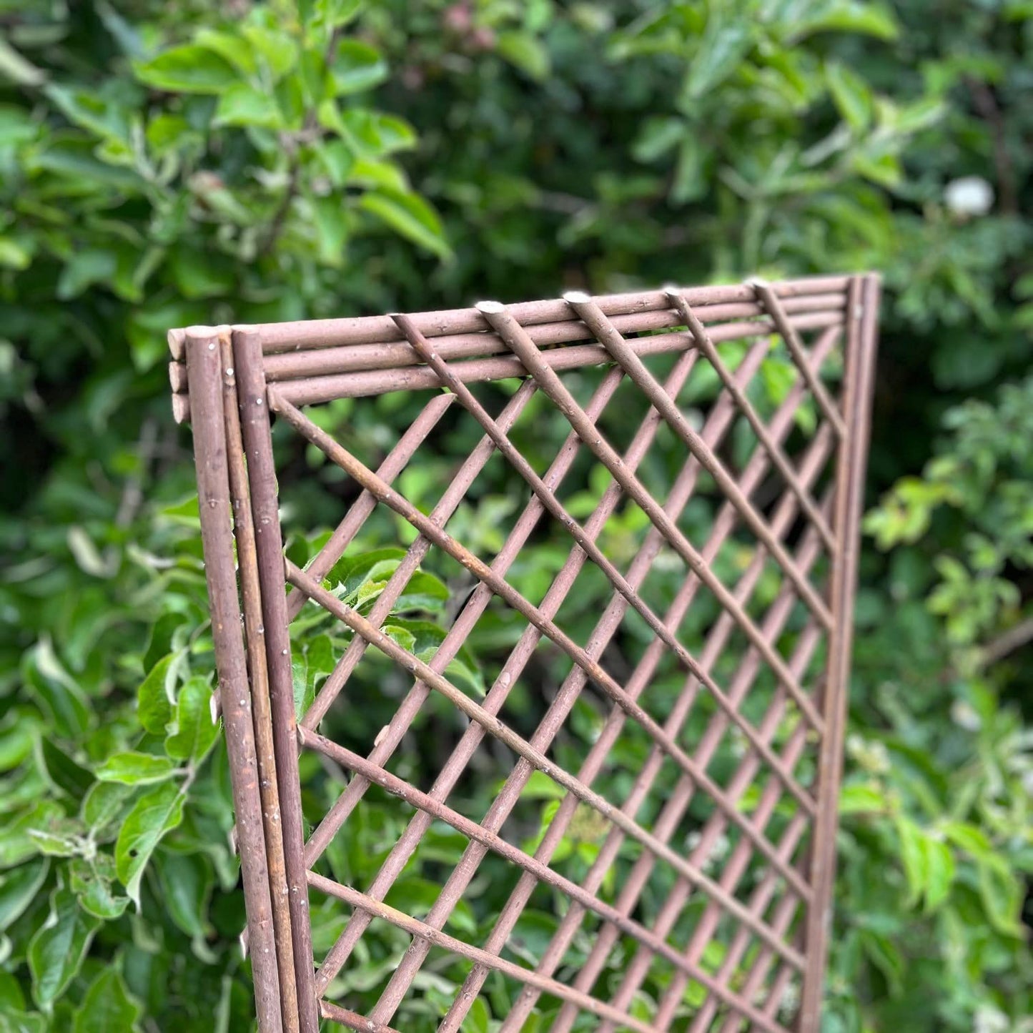 Selections Pack of 3 Willow Trellis Framed Panel (120 x 45 Centimeter)