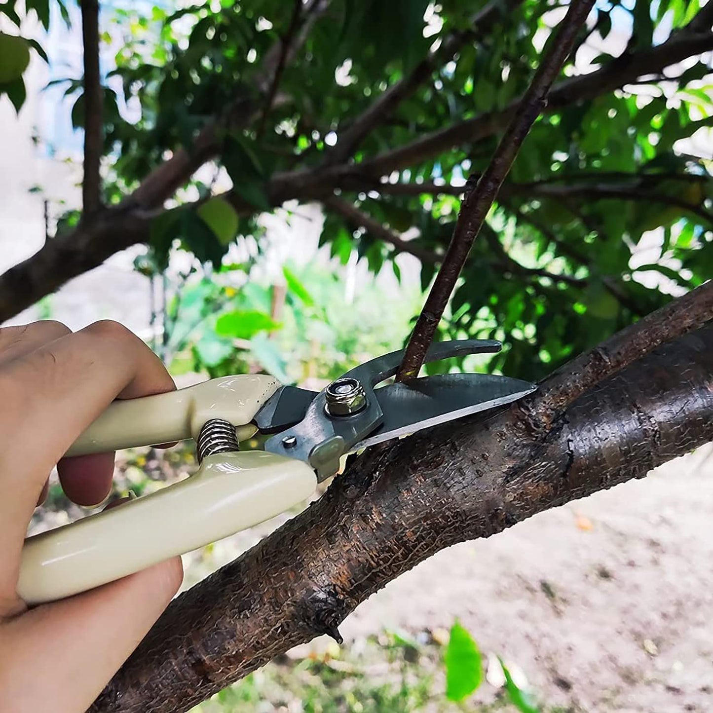 Garden Pruning Garden Secateurs Hand Pruners Pruning Shears for Branches, Flowers,Fruits Picking, Trimming Plants, Bonsai (Plastic)