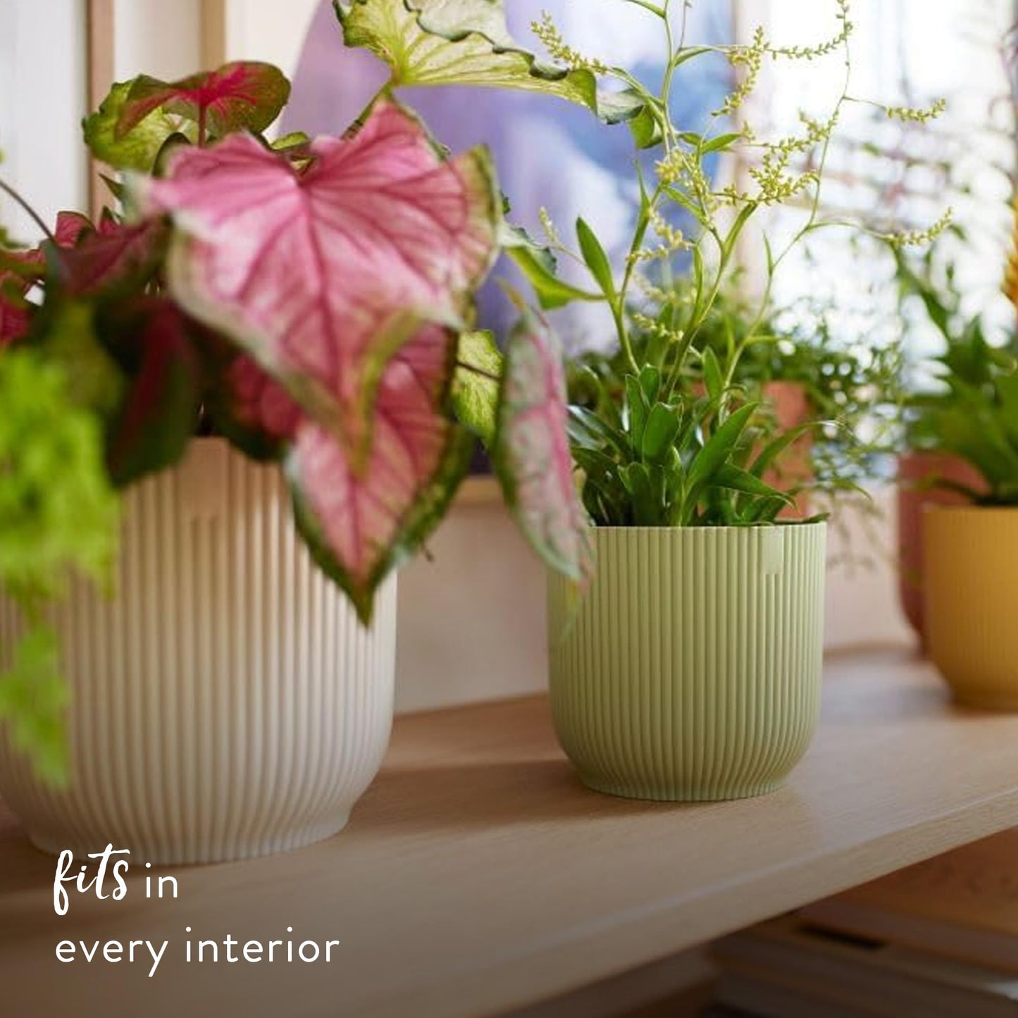 elho Vibes Fold Round Flower Pot with Self Watering Insert - 100% Recycled Plastic - Plant Pots Indoor - Ø 22 cm - White/Silky White