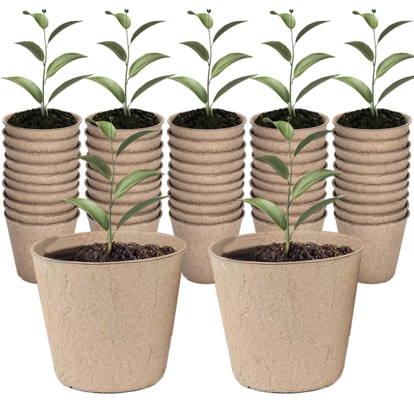 XIZAO Round Fibre Seed Pots, Biodegradable Plant Pots Germination Seedling Pots for Plant Cultivation Compostable Containers 50 Pcs