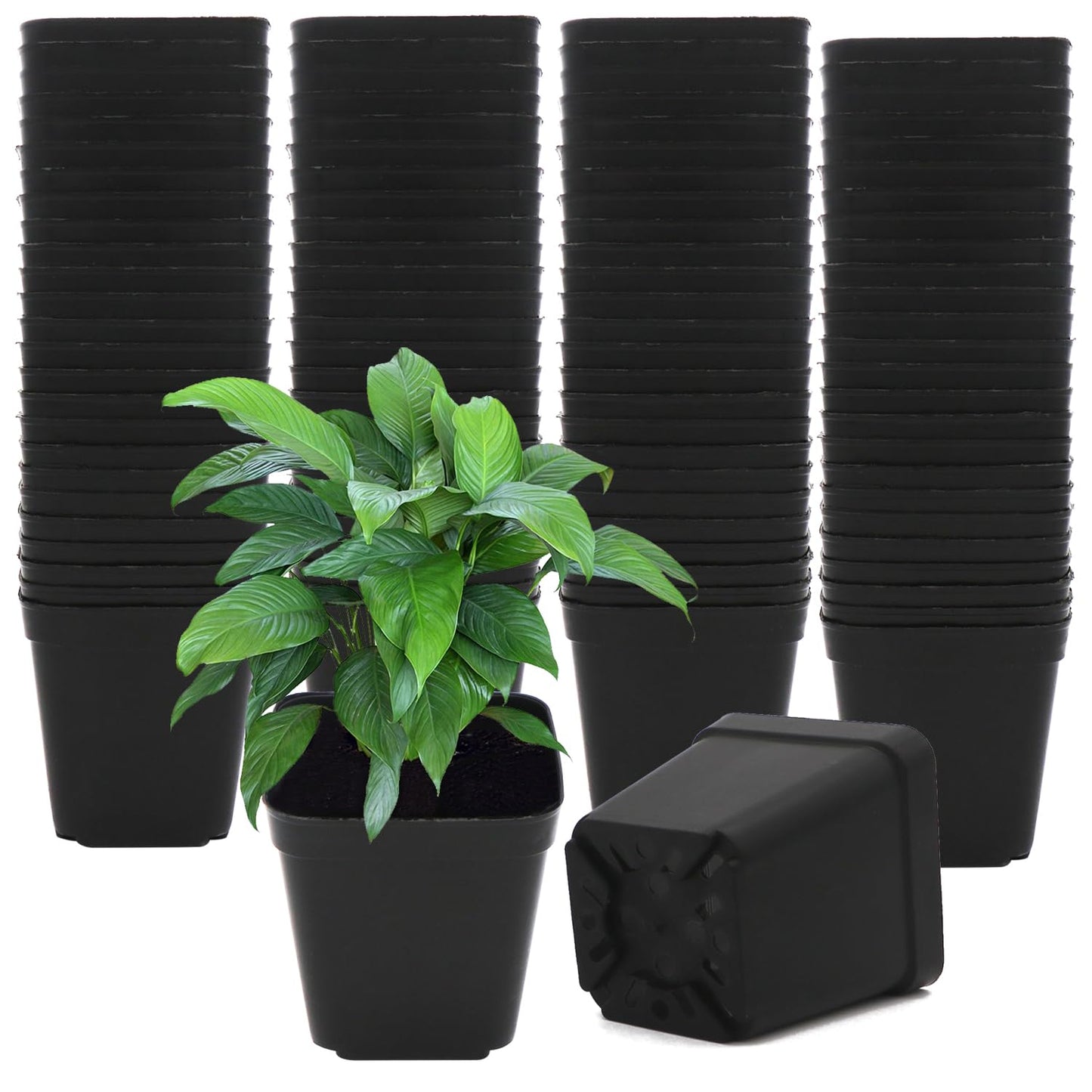 GGOUPTY Square Plastic Plant Pots 7cm 100 Pcs Succulent Planter Nursery Pots for Flower Staring Seedling