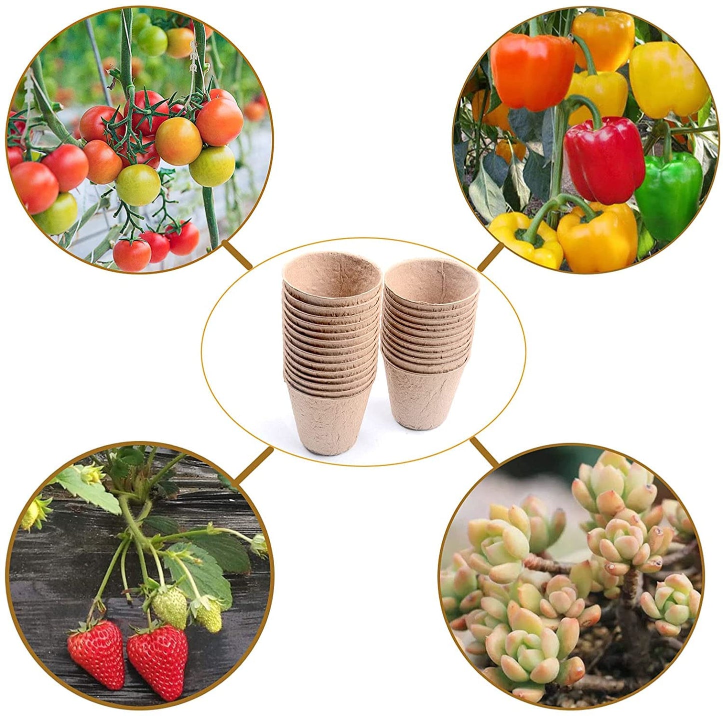 Cymax 50 Pack 8cm Round Fibre Pot Seed Seedling Pot with 50pcs Plastic Plant Lables, Biodegradable Herb Plant,Flower,Seed Starter Pots Kits, Garden