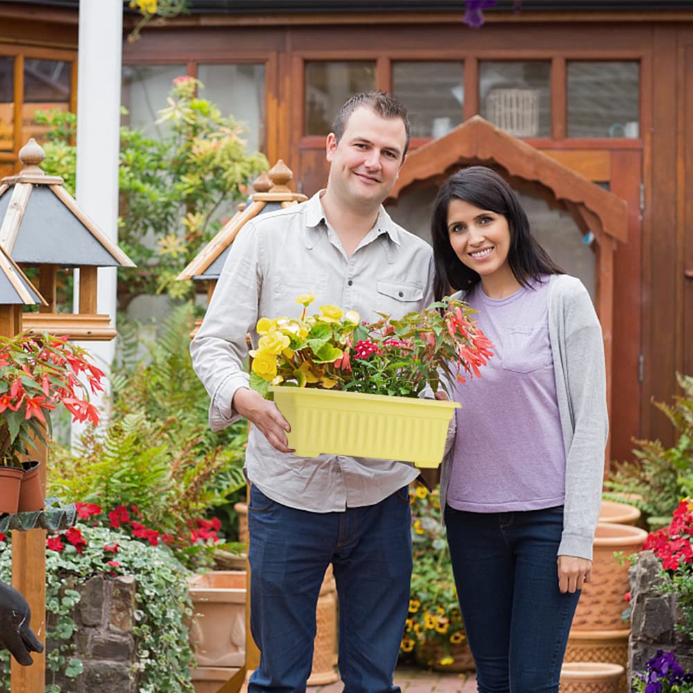 HOXHA 6 Pack Window Box Planter, 17 inches Plastic Vegetable Flower Planter Boxes with Tray, Rectangular Indoor and Outdoor Flower Pots for Windowsill, Patio, Porch, Garden Balcony