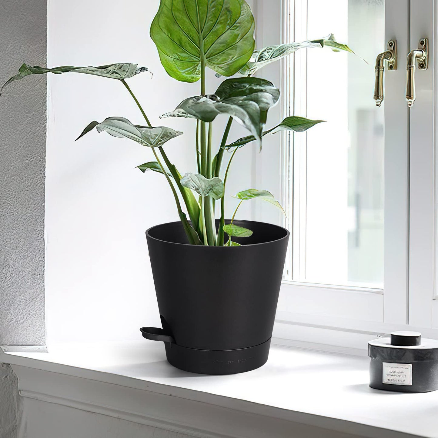 PETAFLOP Plastic Plant Pots 20cm Indoor, 6 Pack 8 Inch Self Watering Plant Pot with Drainage Hole, Saucers, Absorbent Rope and Watering Lip for House Plants, Black