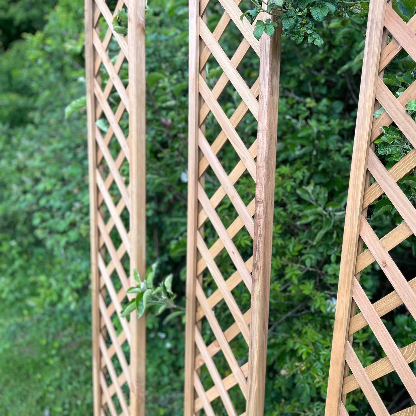 Selections Pack of 5 Wooden Framed Garden Trellis with Lattice Framework Fence Topper 180cm x 30cm