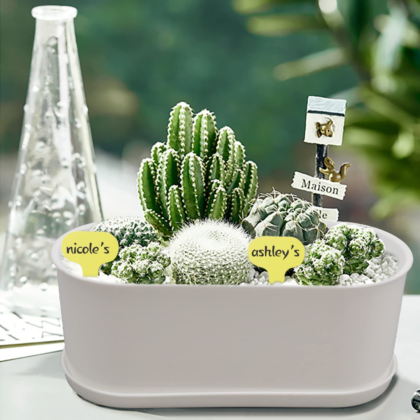 SYITCUN Window Planter Box Indoor 5 Sets,Plant Window Box with Tray,Rectangle Planter Small with Drain Hole,Plastic Plant Pot for Home Garden Modern Decorative Window Planter Box