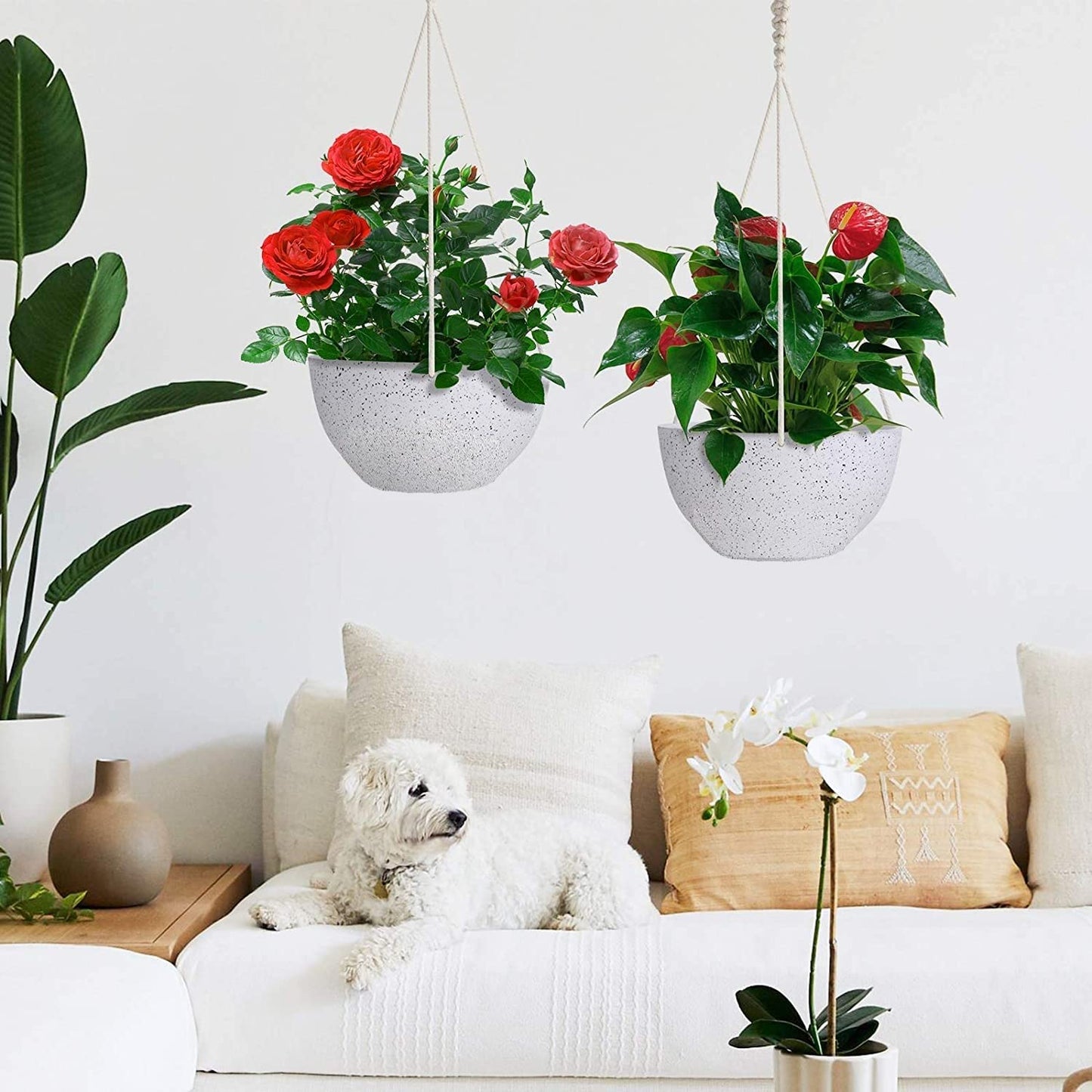 LATERN 2Pcs Hanging Flower Pots, 25cm Speckled White Hanging Plant Pots with Drainage Holes and Plugs, Hanging Planters for Boho Home Garden Decor