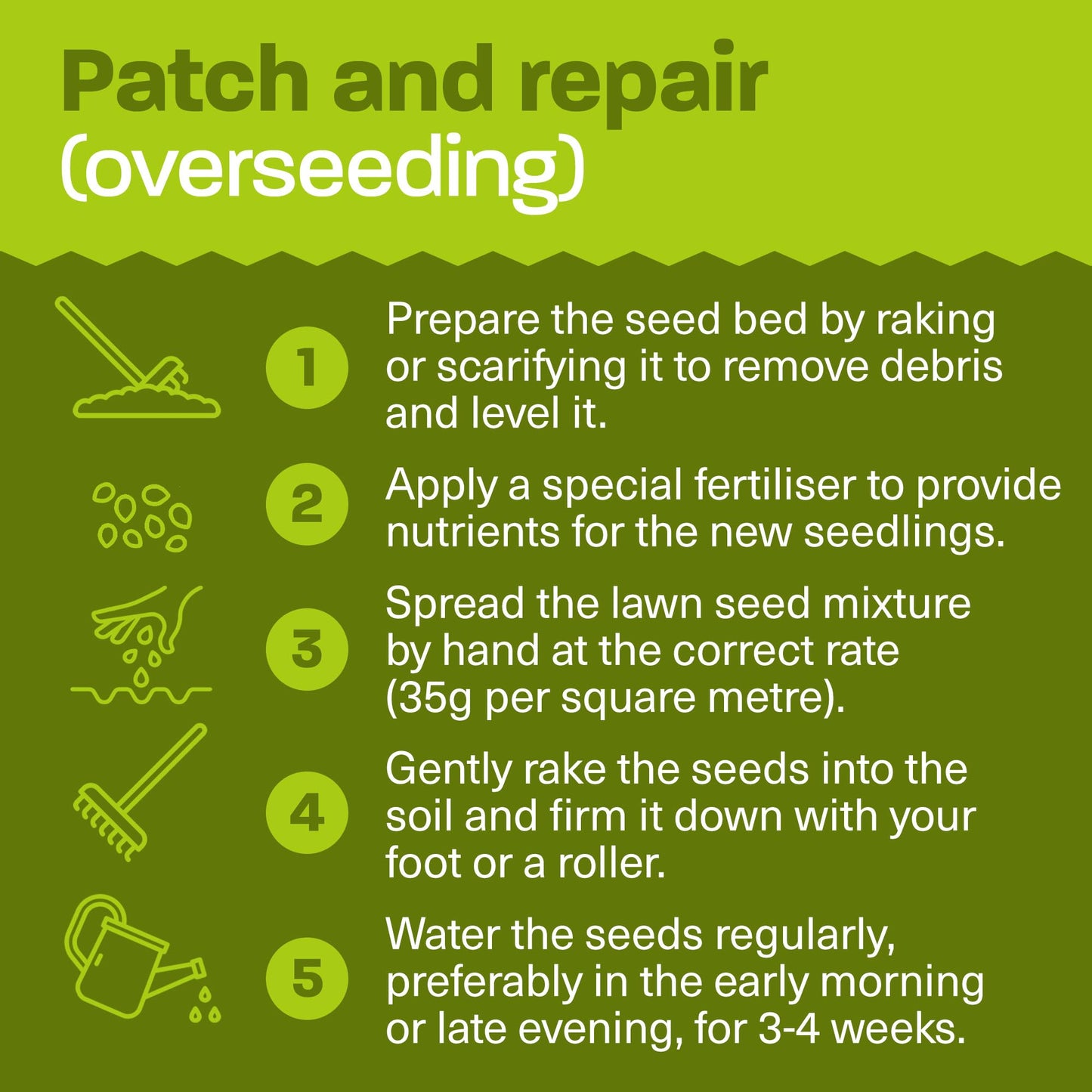 Rural Supplies Premium Grass Seed Mix 2kg - Covers up to 100m2, Hardy, Fast-Growing, Pet Safe, Perfect for UK Climate - Thick, Hard-Wearing, Easy-to-Grow, Low Maintenance Lawn