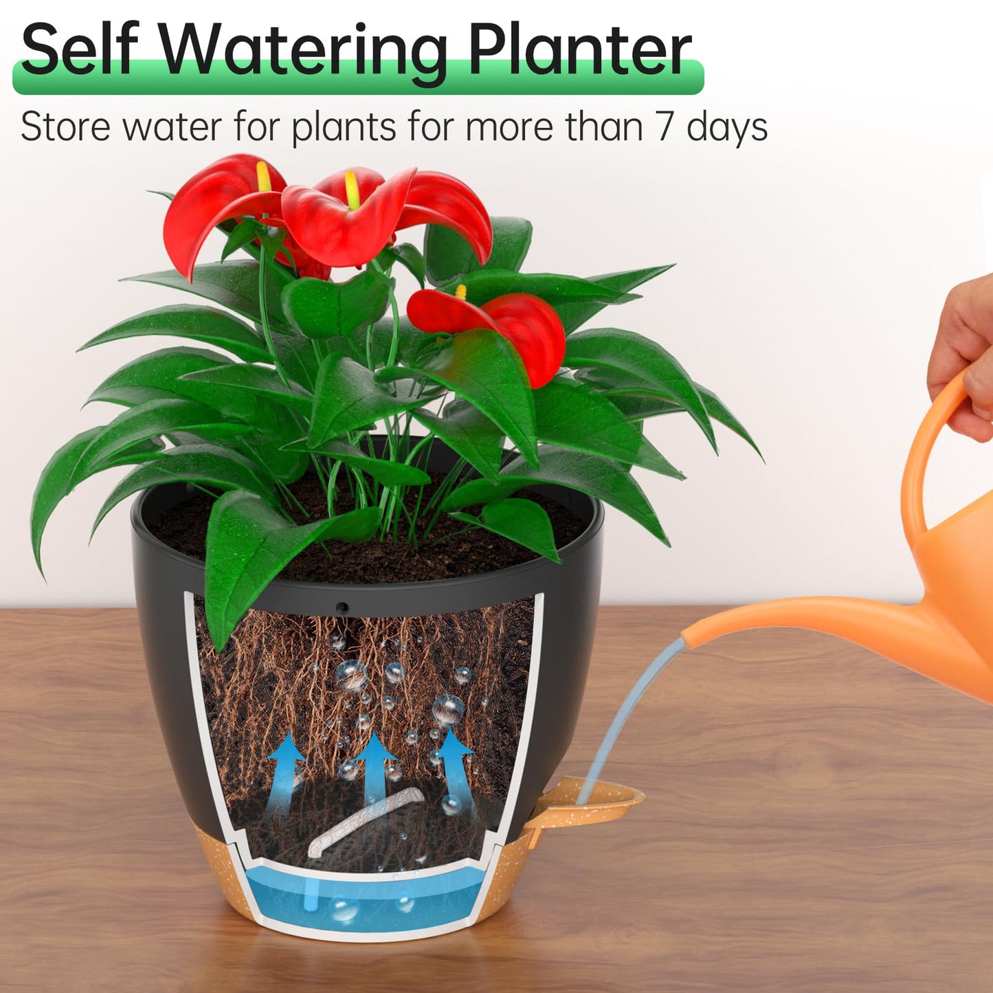 ZMTECH 25cm Hanging Planters with Watering Inlet 10 Inch Self Watering Plant Pot with Drainage Holes and Removable Saucer Plastic Flower Pot for Indoor Outdoor Plants (Black)