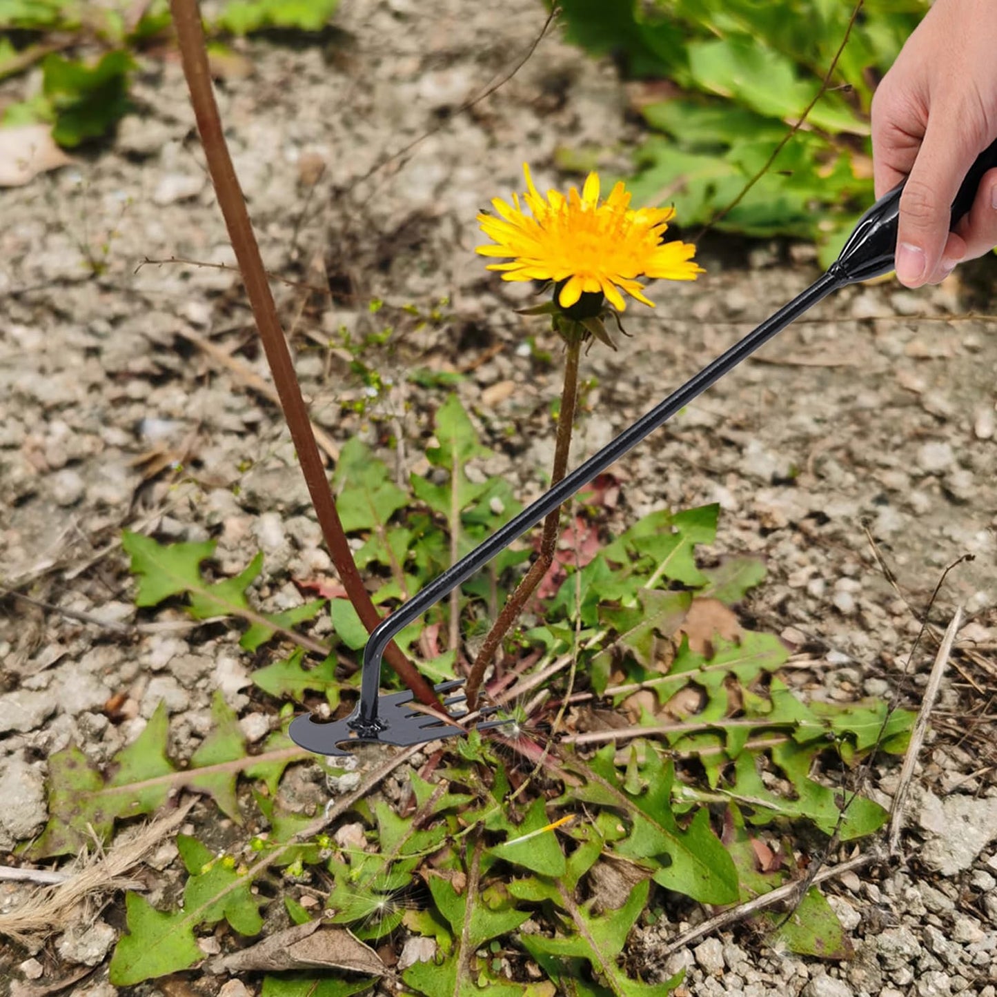 Yizerel Hand Weeder Tool Garden Weeding Tool, Uprooting Weeding Tool Gardening Weeder Tool, Stainless Steel Gardening Tools for Yard and Garden, 3 Pcs