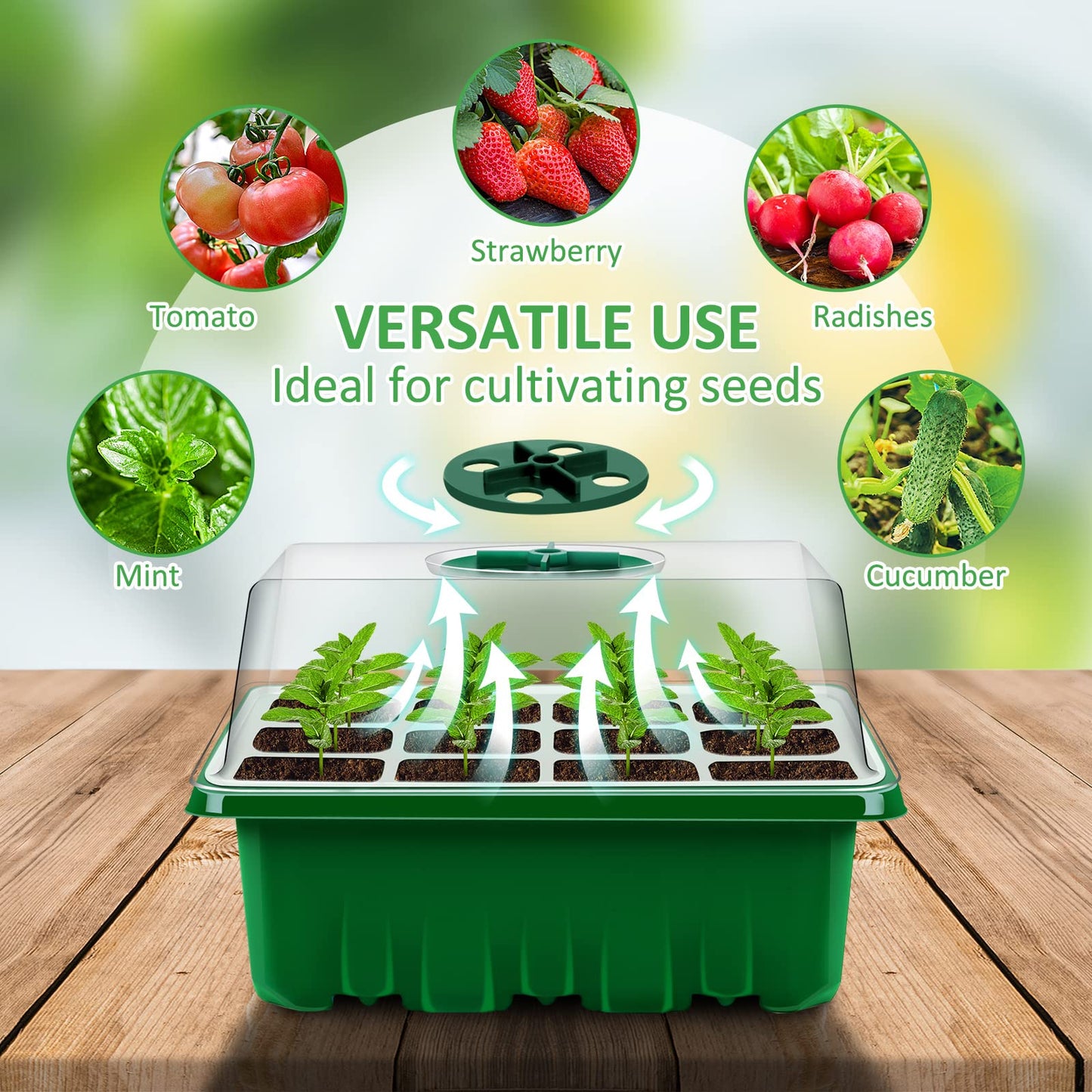 YAUNGEL Seed Trays, 6 Pack 72 Cells Propagator Growing Thicken Seedling Starter Growing Trays with Clear Lids/Adjustable Window for Greenhouse & Gardens, Green