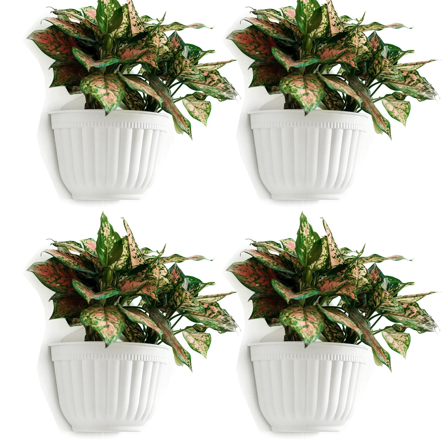 ORIMERC 4 pcs White Wall Planter Pots Vertical Living Wall Hanging Planters Wall Mounted Planter Holder with Drainage Hole for Indoor Outdoor Plants Wall Decor with healthy Plants