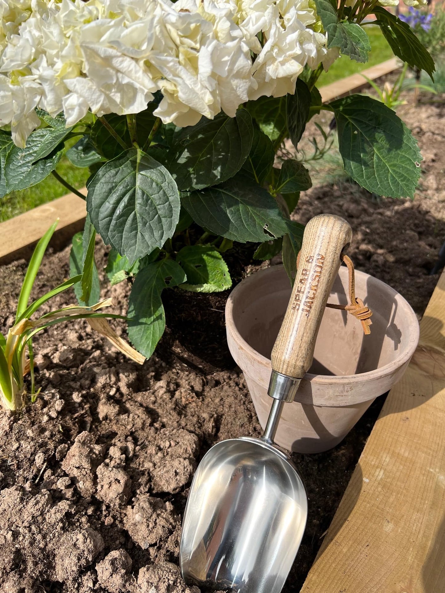 Spear and Jackson 5060SS Traditional Soil Scoop
