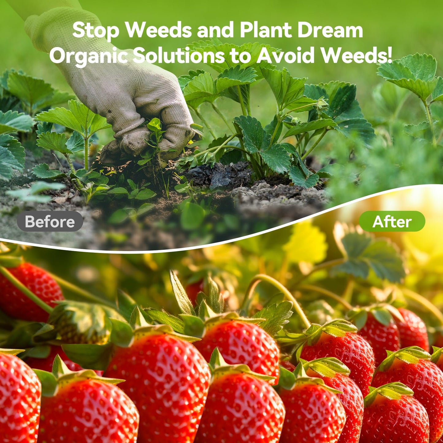 iropro 2m x 50m Heavy Duty Weed Control Membrane Garden Weed Barrier Fabric for Landscaping Driveway Gravel Artificial Grass Lawn Underlay Black Woven Roll Ground Cover