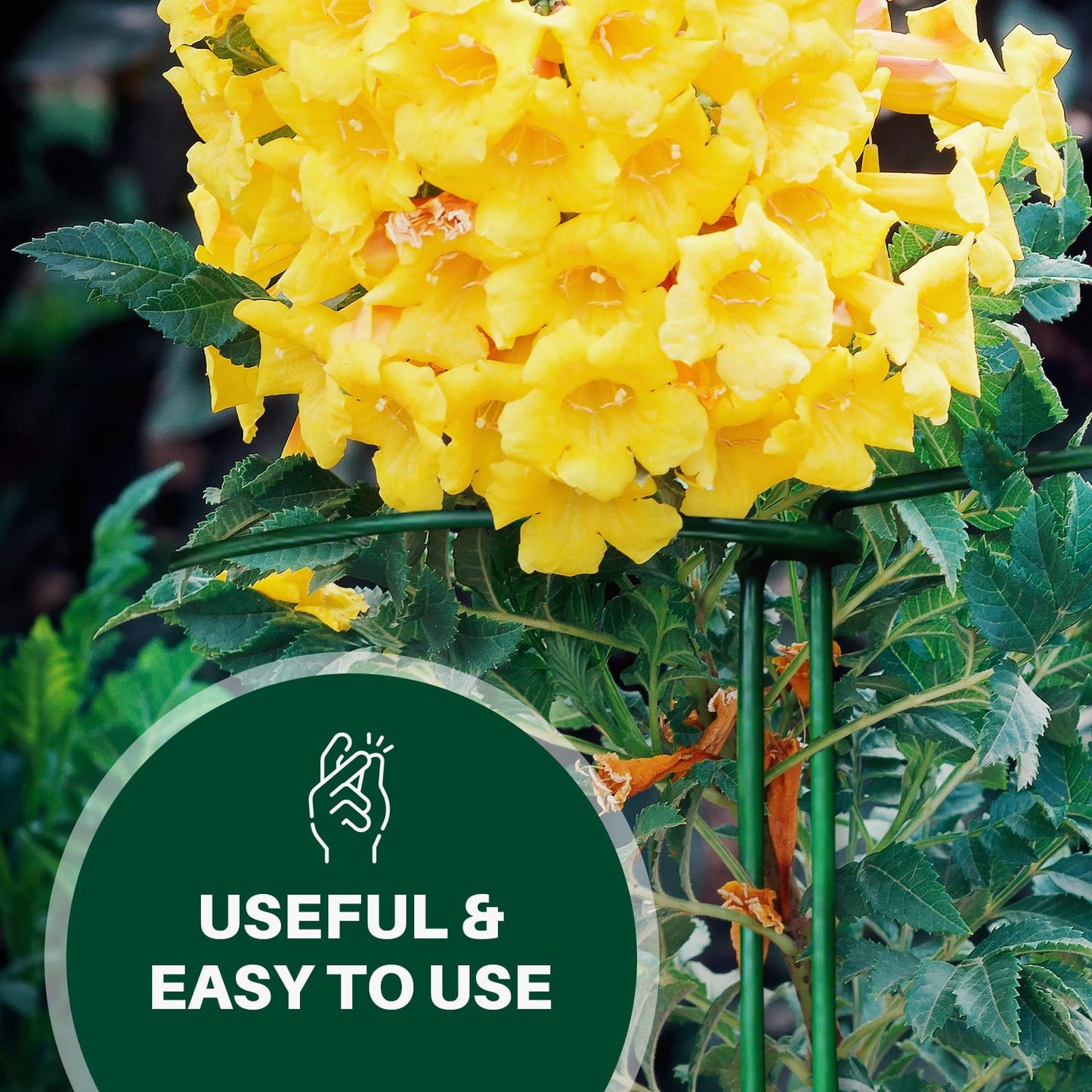 OLDELITE 6pcs Plant Supports for Outdoor Plants, 20 x 35 cm Plant Stakes Metal Half Round Plant Supports Ring Cage, Garden Plant Supports for Rose, Flowers, Vine and Tomato Plants