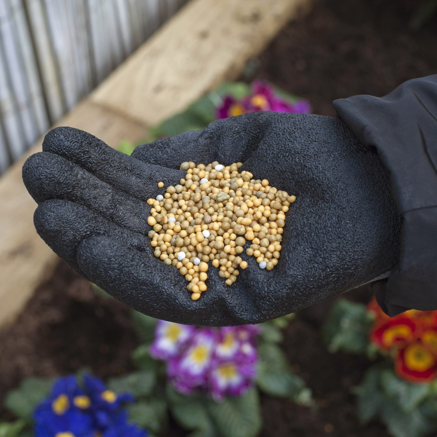 Miracle-Gro Continuous Release All Purpose Plant Food, 900G, White