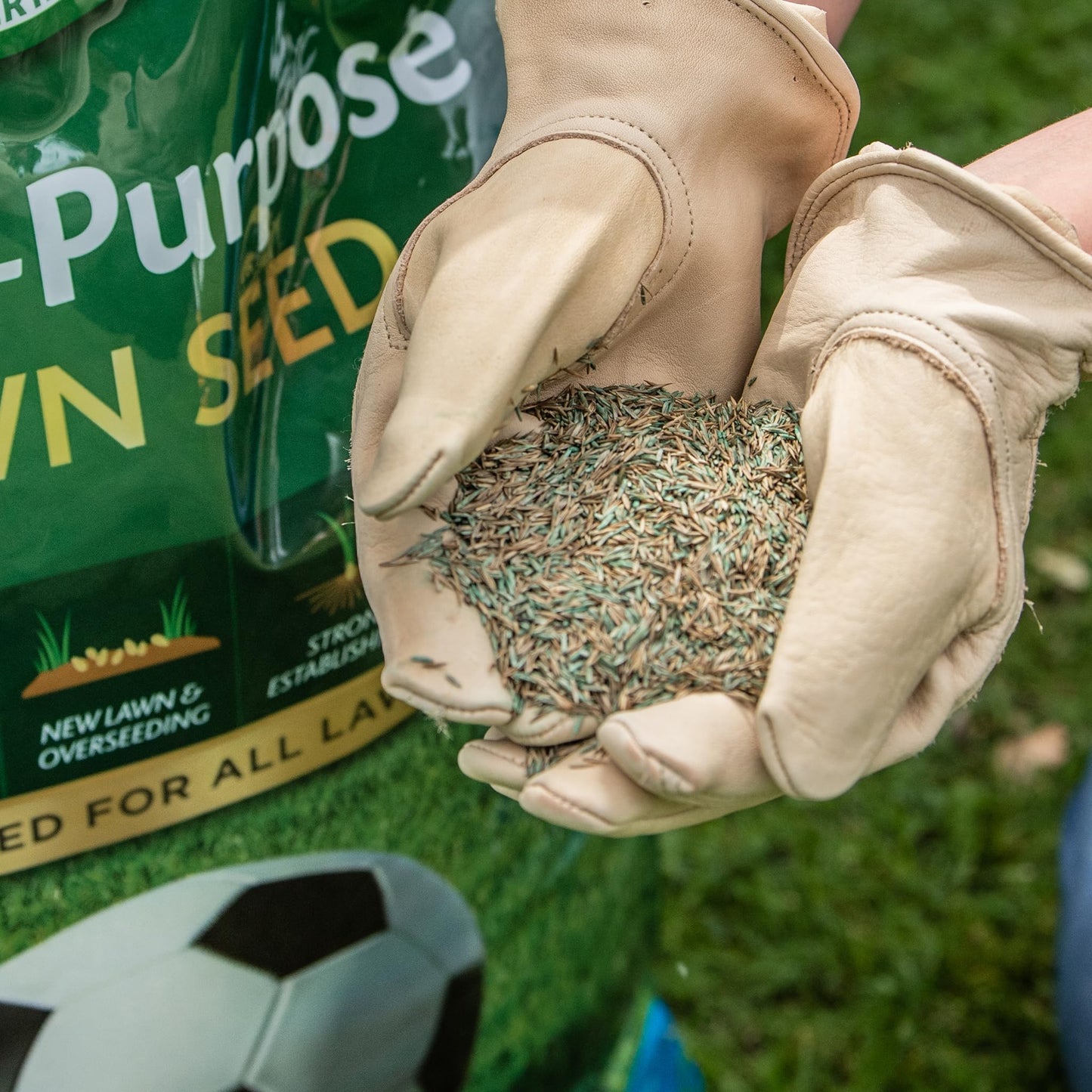 GRO-Sure Multi Purpose Lawn Seed Box 10sq.m - 30% EF