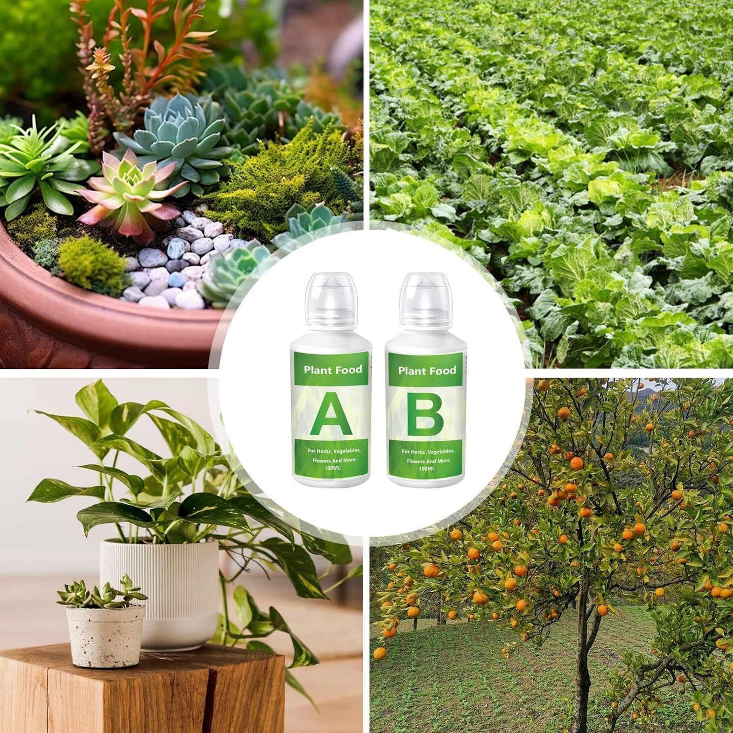 jamgeery Hydroponic Nutrients,Vegetable Growing Nutrients | A & B Plant Food for Hydroponics Growing System and Potted Houseplants, Plant Fertilizer