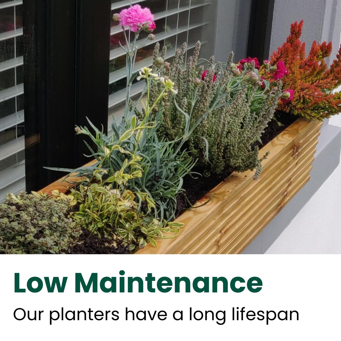 Mourne Wood Large Wooden Window Box Planter - 98cm Wide, Elegant Window Sill Planter for Flowers & Herbs, Versatile Indoor & Outdoor Gardening, Made in the UK