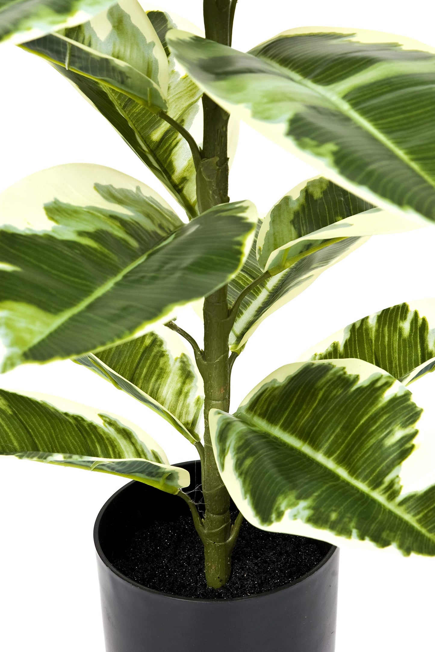 GreenBrokers Artificial 98cm Real Touch Rubber Plant in Pot