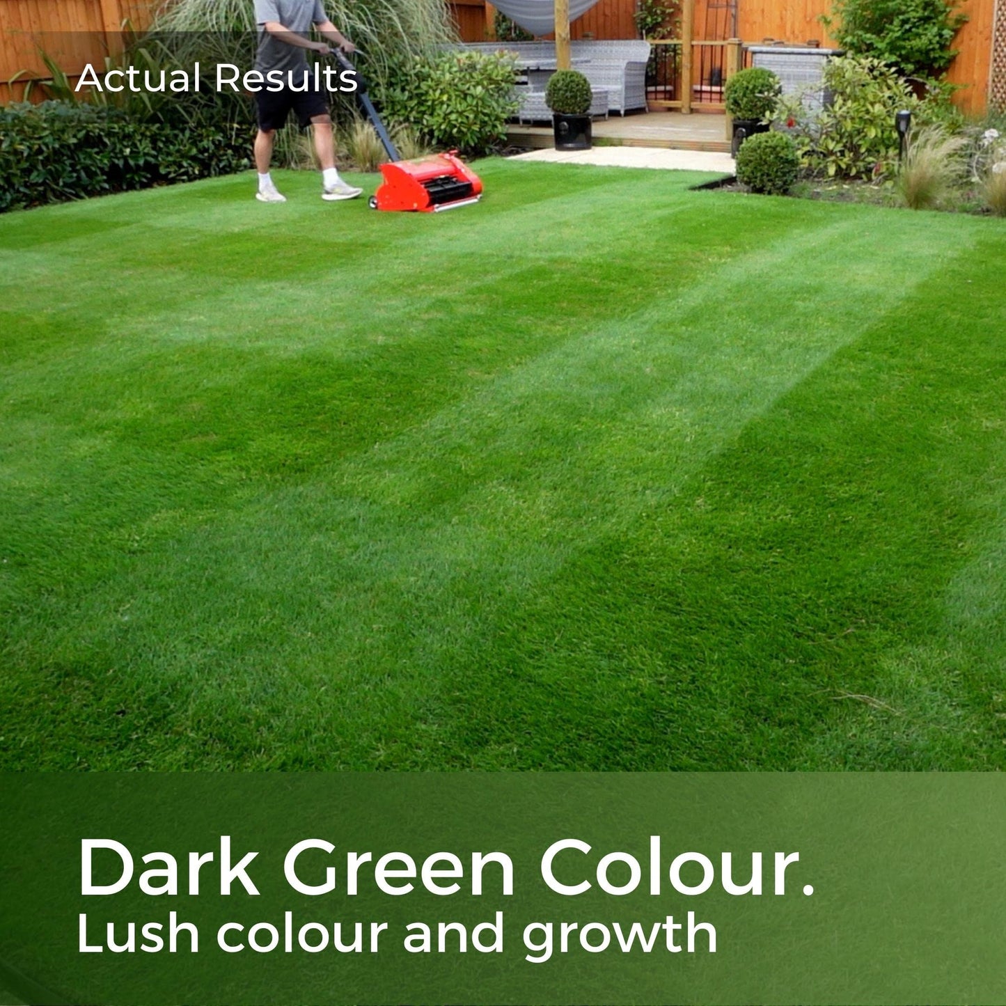 Dark Green Lawn Seed - Grass Seeds for a Green Lawn All Year Round - Hard Wearing & Fast Growing Mix - Garden Lawncare Guy (5kg - 200m²)