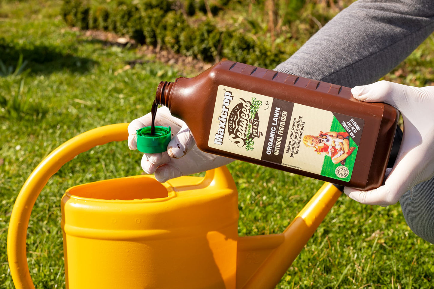 Maxicrop XOLNF61L Organic Lawn Natural Fertiliser, 1L - Natural Organic Lawn Fertiliser - with Seaweed Extract - for Strong Growth and Healthy Root Development - Lawn Nutrition - Garden Care, Brown