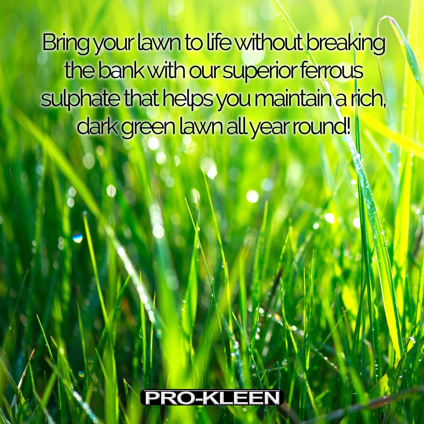 Pro-Kleen Iron Sulphate 1 KG PREMIUM Ferrous (Makes up to 1000L When Diluted & Covers up to 1000m2) Pure Lawn Tonic- Lawn Conditioner and Turf Hardener. Damp Grade Soluble in Water