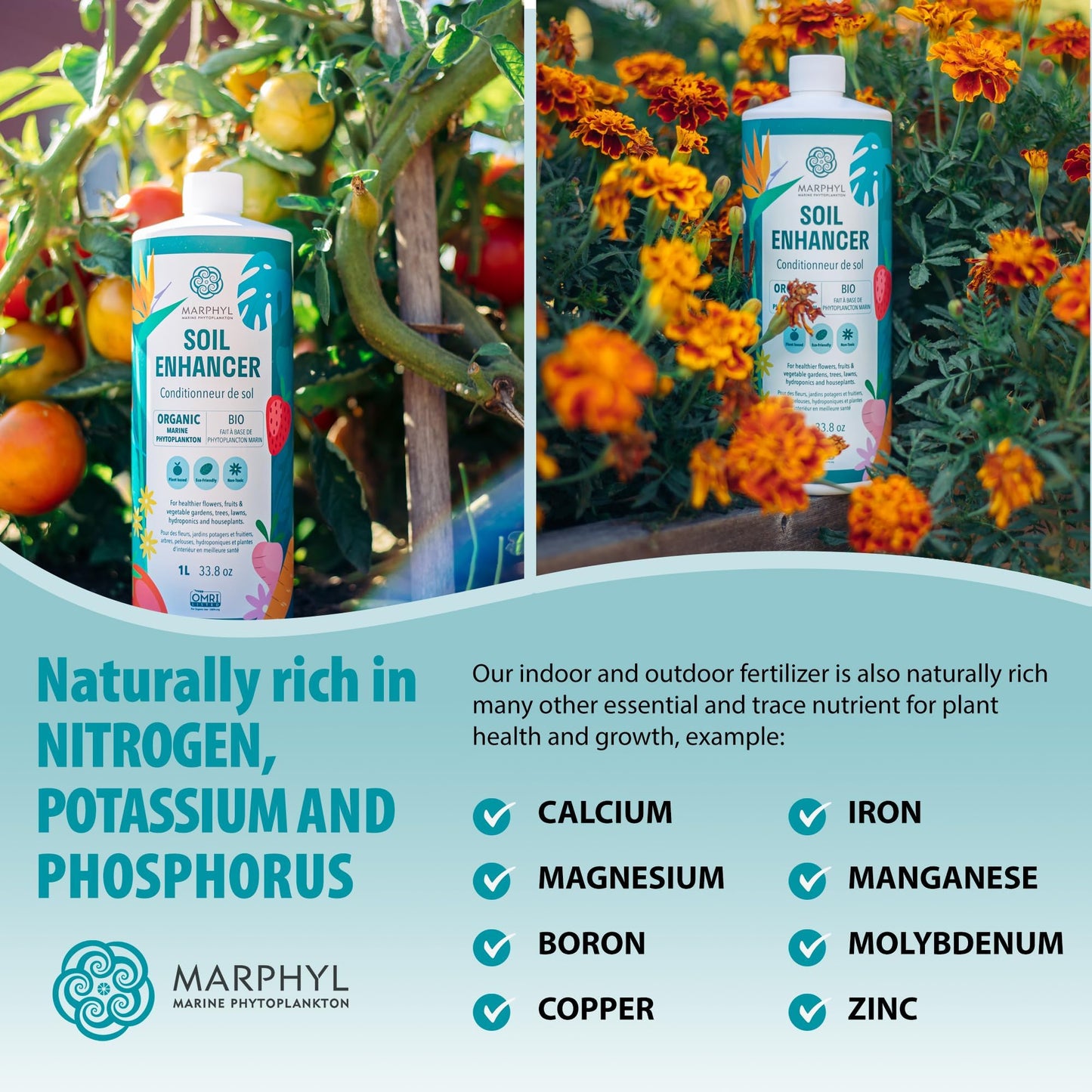 MARPHYL Organic Liquid Fertiliser - Indoor Plant Food - Nutrient rich Seaweed Liquid Fertilizer- All Purpose Liquid Fertiliser for indoor Plants, Flowers, Vegetables, Succulents, Bamboo, Hydroponics