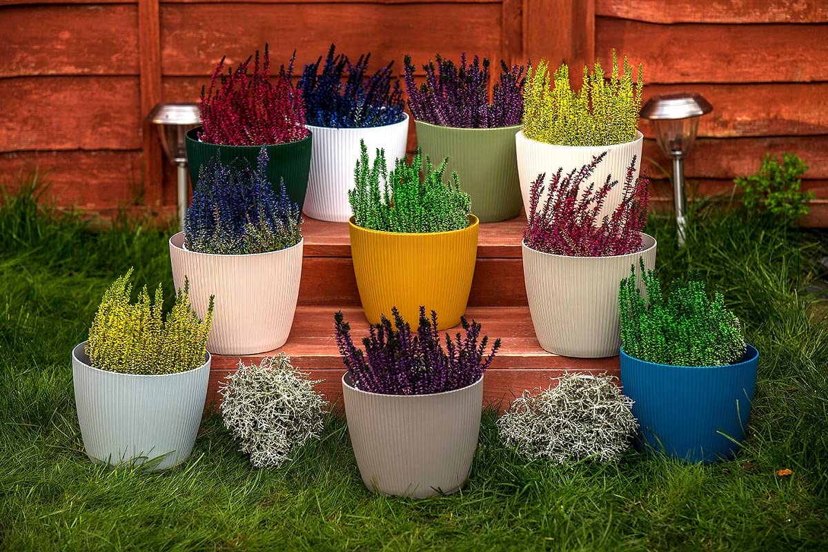 Home Garden Ornaments Plant Pots Indoor 15.5cm Diameter – Round and Plastic Plant Pot of Light Grey Colour – Striped Flower Pot – Decorative Flower Pots Outside (Ø15.5cm, Light Grey)