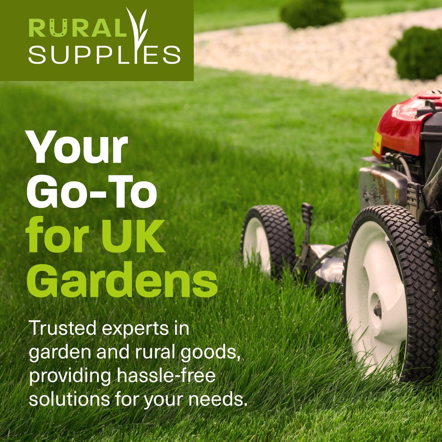 Rural Supplies Premium Grass Seed Mix 2kg - Covers up to 100m2, Hardy, Fast-Growing, Pet Safe, Perfect for UK Climate - Thick, Hard-Wearing, Easy-to-Grow, Low Maintenance Lawn