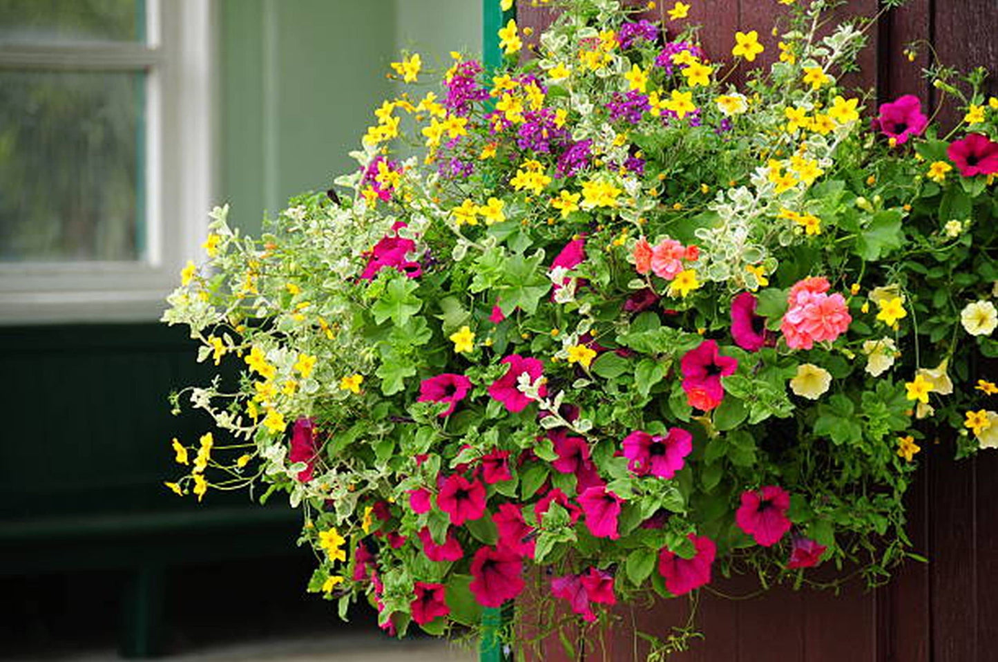 (Set of 2) 14" Easy Bloom Hanging Baskets Large Outdoor Garden Flower Planter