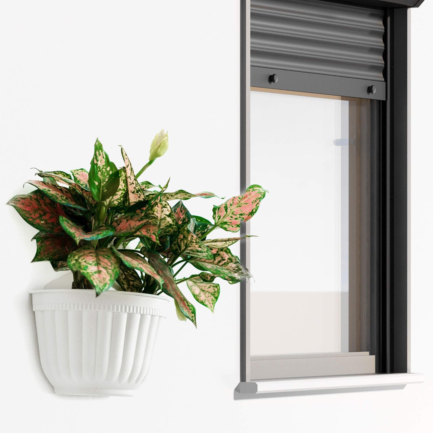 2 Pack Plastic Wall Plant Pots Vertical Garden Living Wall Mounted Window Hanging Basket Fence Planters Indoor Outdoor for Plants Flowers Kitchen Herbs Holder with Drainage Water Reservoir Decor White