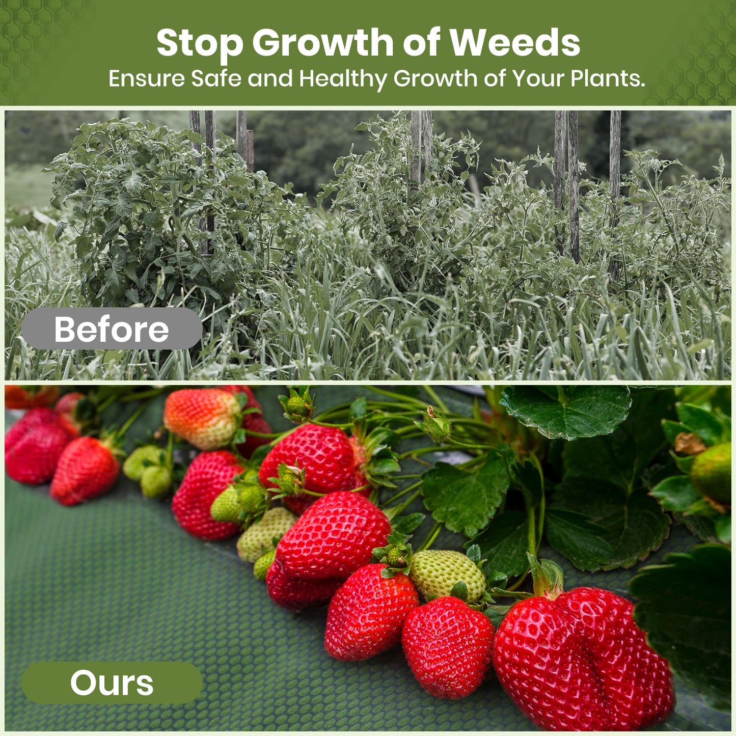 Velway Weed Control Membrane 1x10M - Biodegradable Non-Woven Weed Barrier Fabric Landscaping Ground Cover Weed Suppressant Membrane for Patios Garden Flower Beds