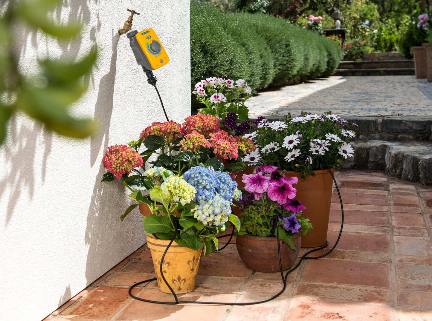 HOZELOCK - Drip Watering Kit 20 Pot : Complete Stand-alone System with Select Controller Programmer, Ideal for Potted Plantsand Window Boxes, for Precise, Water-saving Watering [2803 0000]