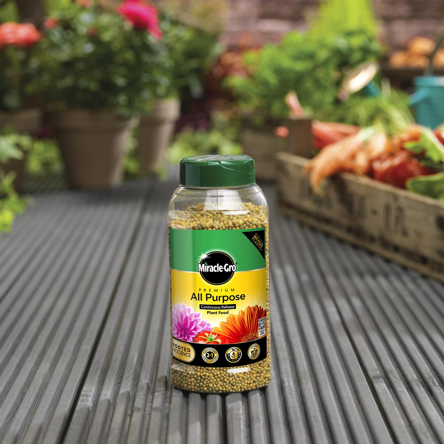 Miracle-Gro Continuous Release All Purpose Plant Food, 900G, White