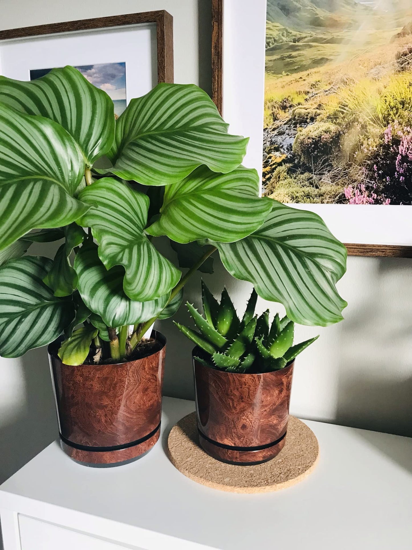 KORAD Wood Effect Indoor Plant Pots with Saucer and Drainage Holes, Round, Modern and Decorative Flowerpot for All Houseplants, 6 sizes, 25 colours(18 cm - 7 inches)