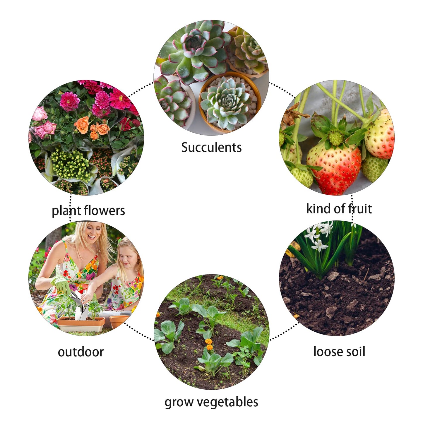 Garden Shovel Trowel Hand Shovels, Stainless Steel Gardening Tools for Transplanting Weeding Moving and Smoothing Digging Planting (3)