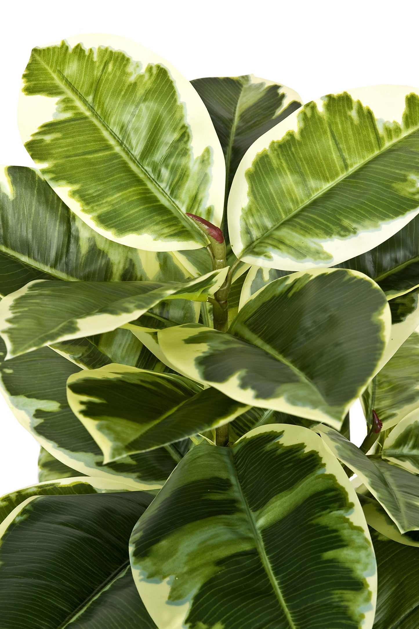 GreenBrokers Artificial 98cm Real Touch Rubber Plant in Pot