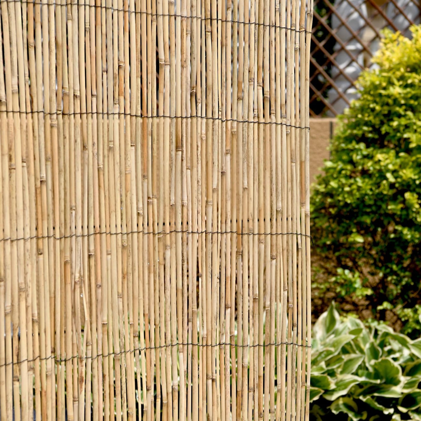 Wadan Natural Split Reed Fence Hand-Woven Reed Screening for Garden Natural Window Roller Blind Outdoor Bamboo Shades for Garden Patio Gallery Balcony Decorative Fences (1m x 3m)