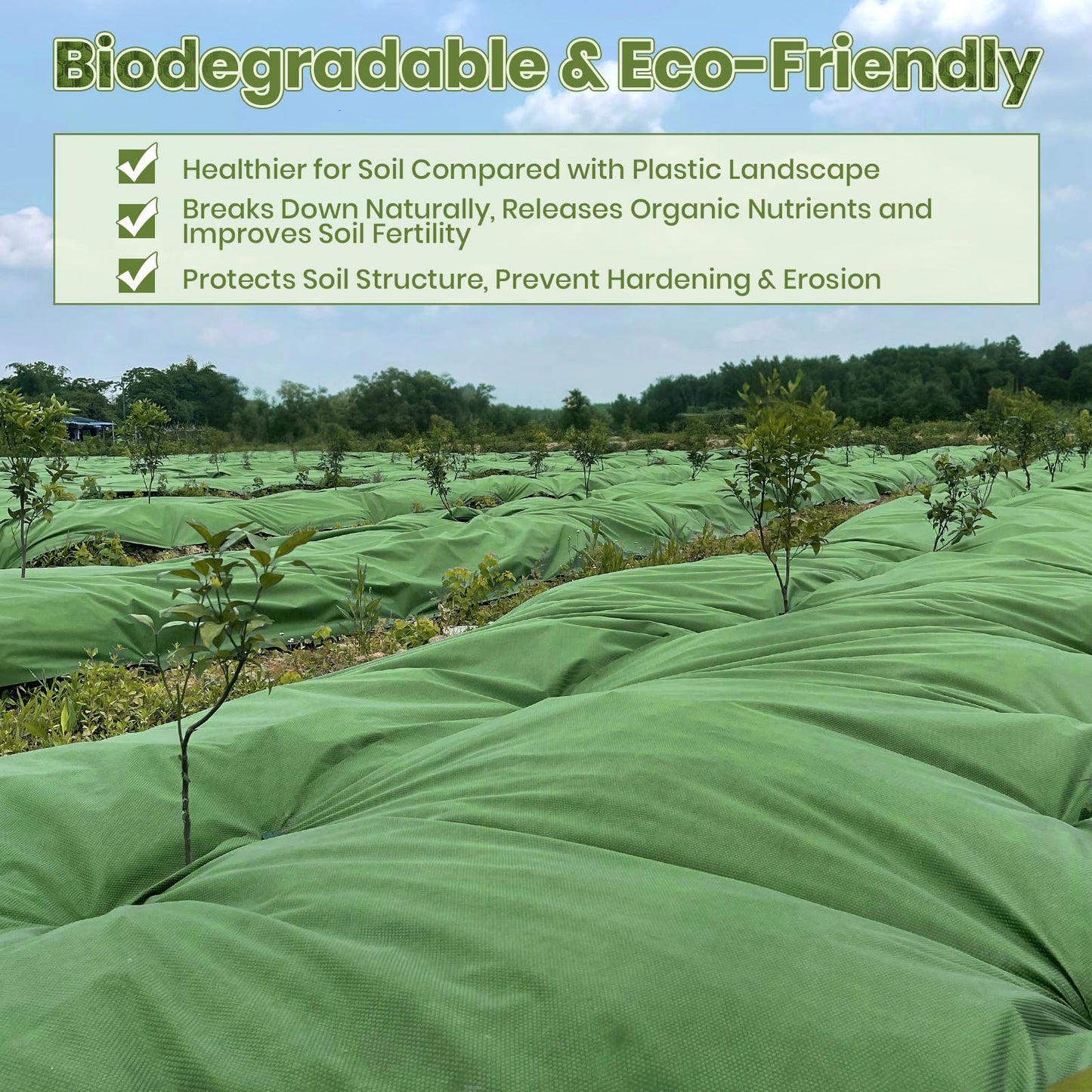 Velway Weed Control Membrane 1x10M - Biodegradable Non-Woven Weed Barrier Fabric Landscaping Ground Cover Weed Suppressant Membrane for Patios Garden Flower Beds