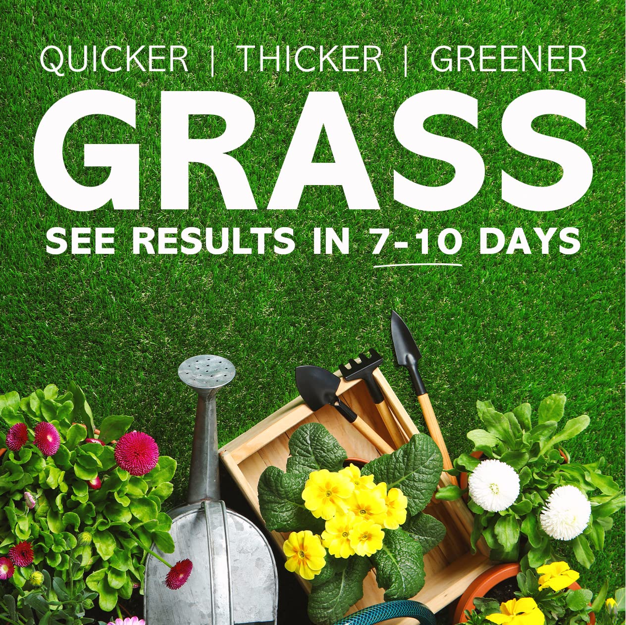 Fast Lawn Grass Seed, 1kg (up to 60sqm) Premium Quality Fast Growing Grass Seeds. Tailored for UK Climate. Hardwearing Lawn Seed Perfect for New Lawns, Overseeding & Patch Repair. DEFRA Approved