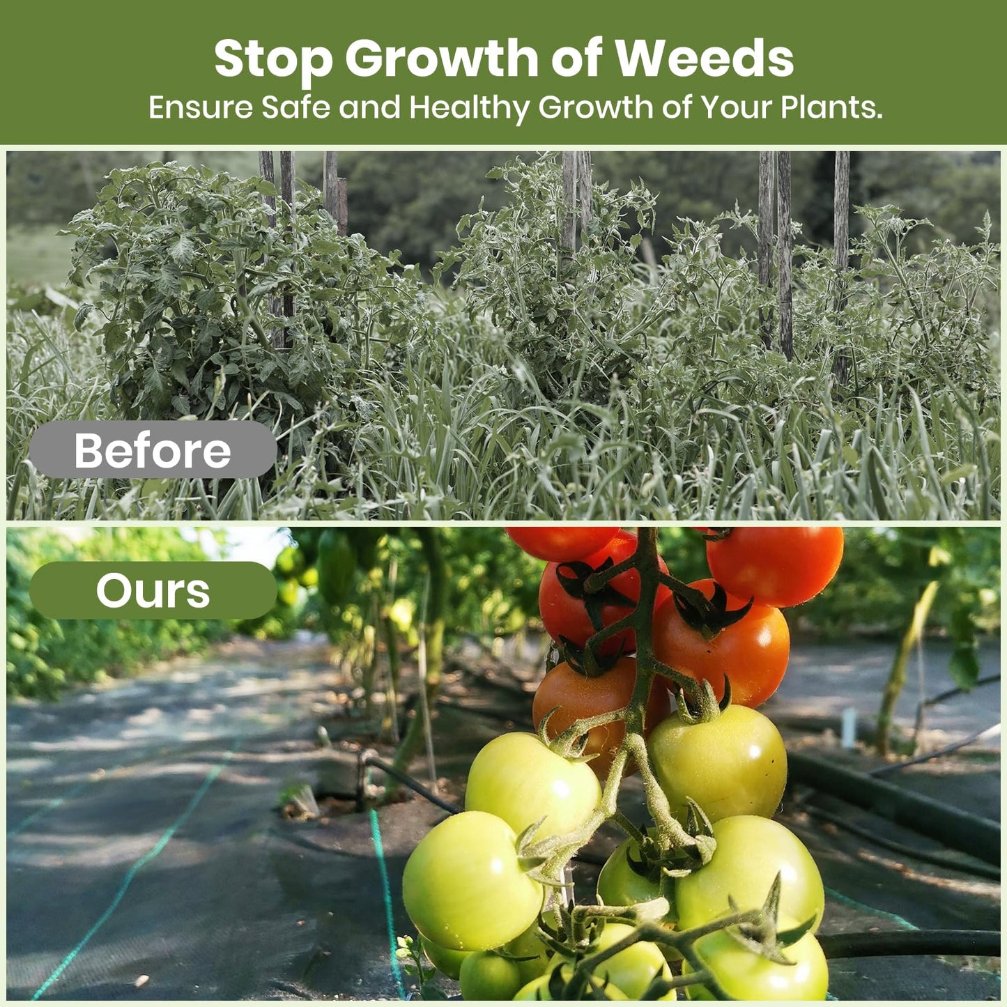 Velway Weed Control Membrane 2x5M - with 30 Garden Pegs Heavy Duty Weed Control Barrier Fabric Landscaping Ground Cover Weed Suppressant Membrane for Artificial Grass Patio Paths Flower Beds