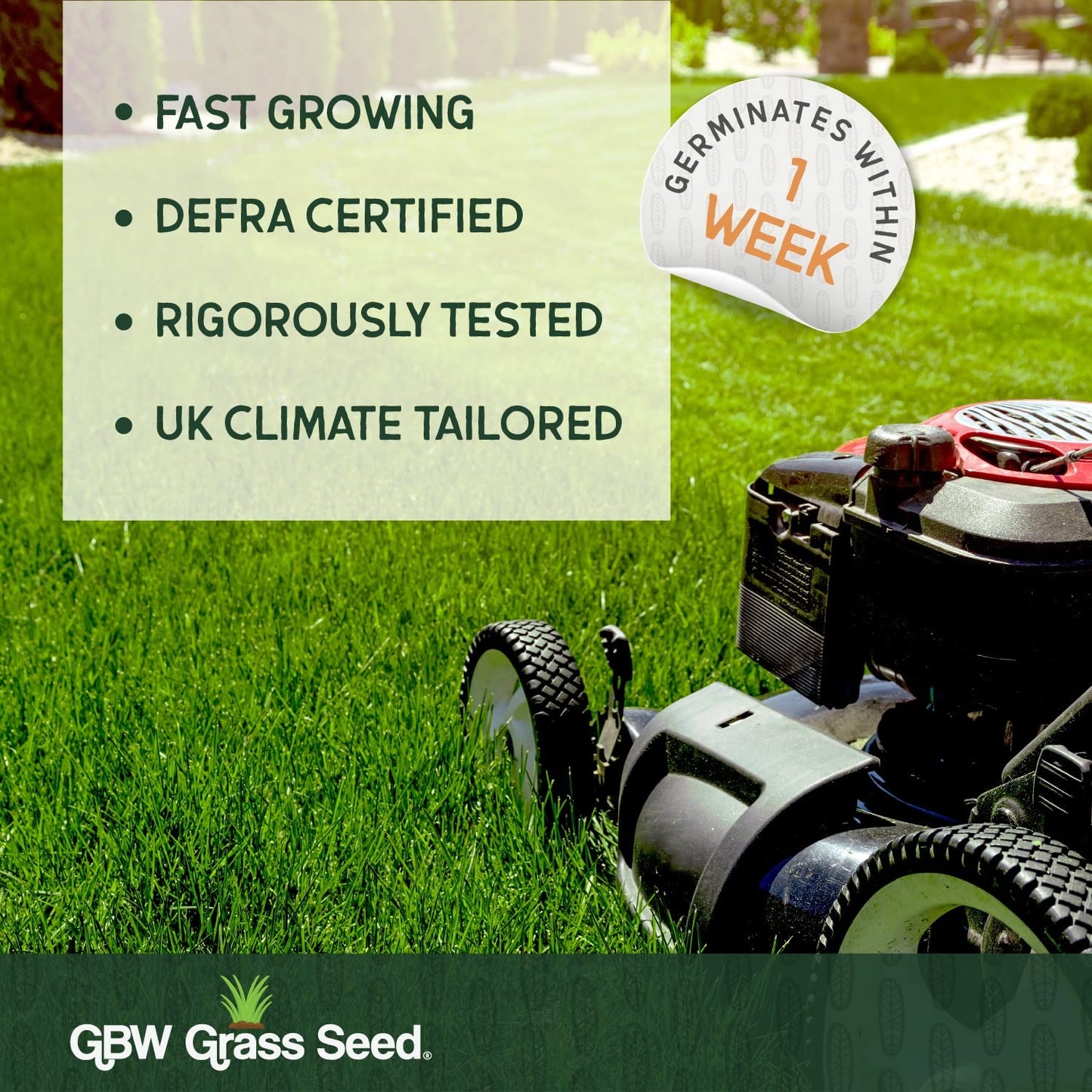 GBW Grass Seed 1kg - Covers up to 60 m2 (645 ft2) - Premium Quality Lawn Seed - Rapid Growth – Can Germinate as Quick as 10 days - Hard Wearing against Pet Urine - Tailored to UK Climate - 100% Refund