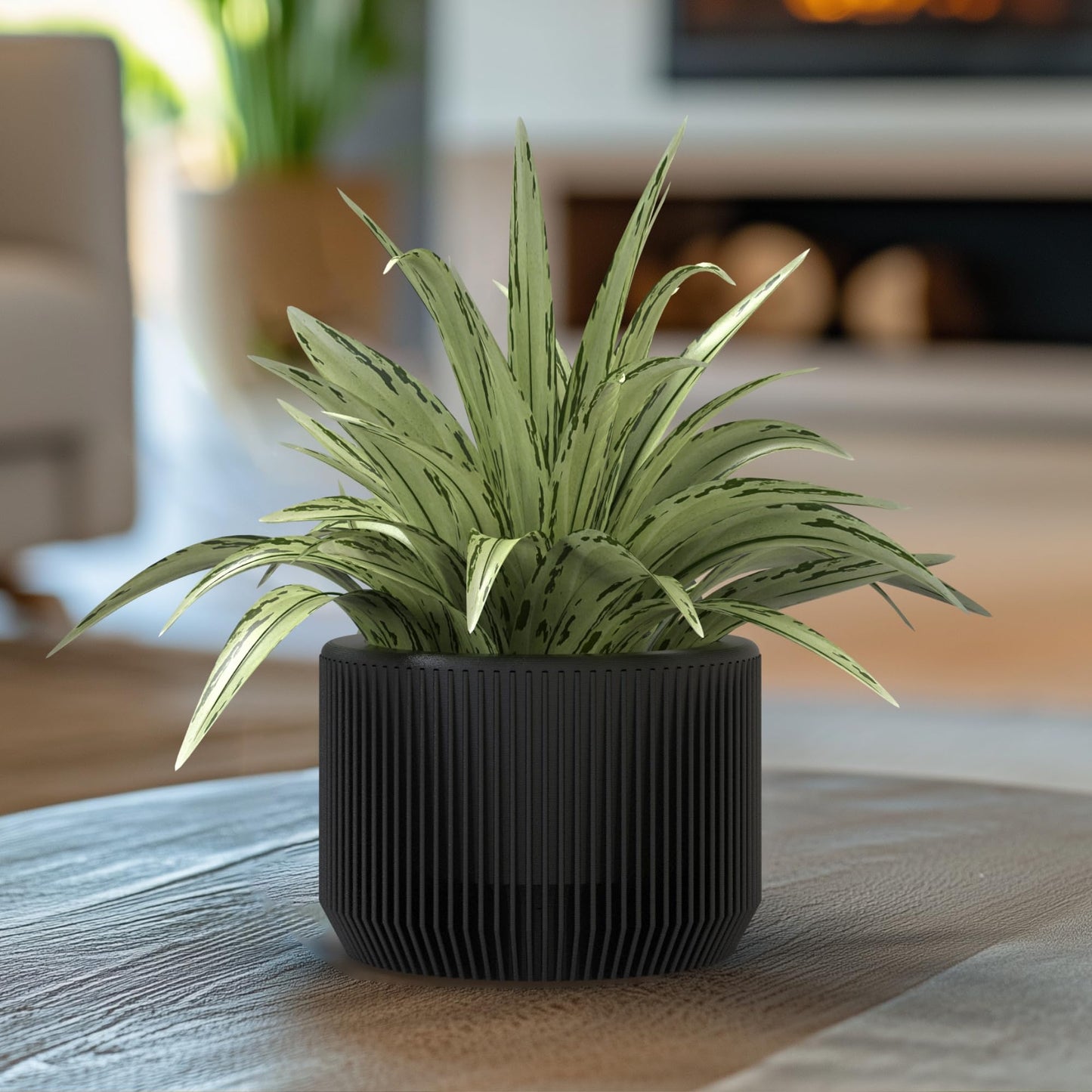 SPACE & Co. PACHA 11cm Small Indoor Planter – Black – Made in UK – Includes Inner Pot for Healthier Plants – Lightweight & Durable Plastic – Modern Round Design (1 Pack)