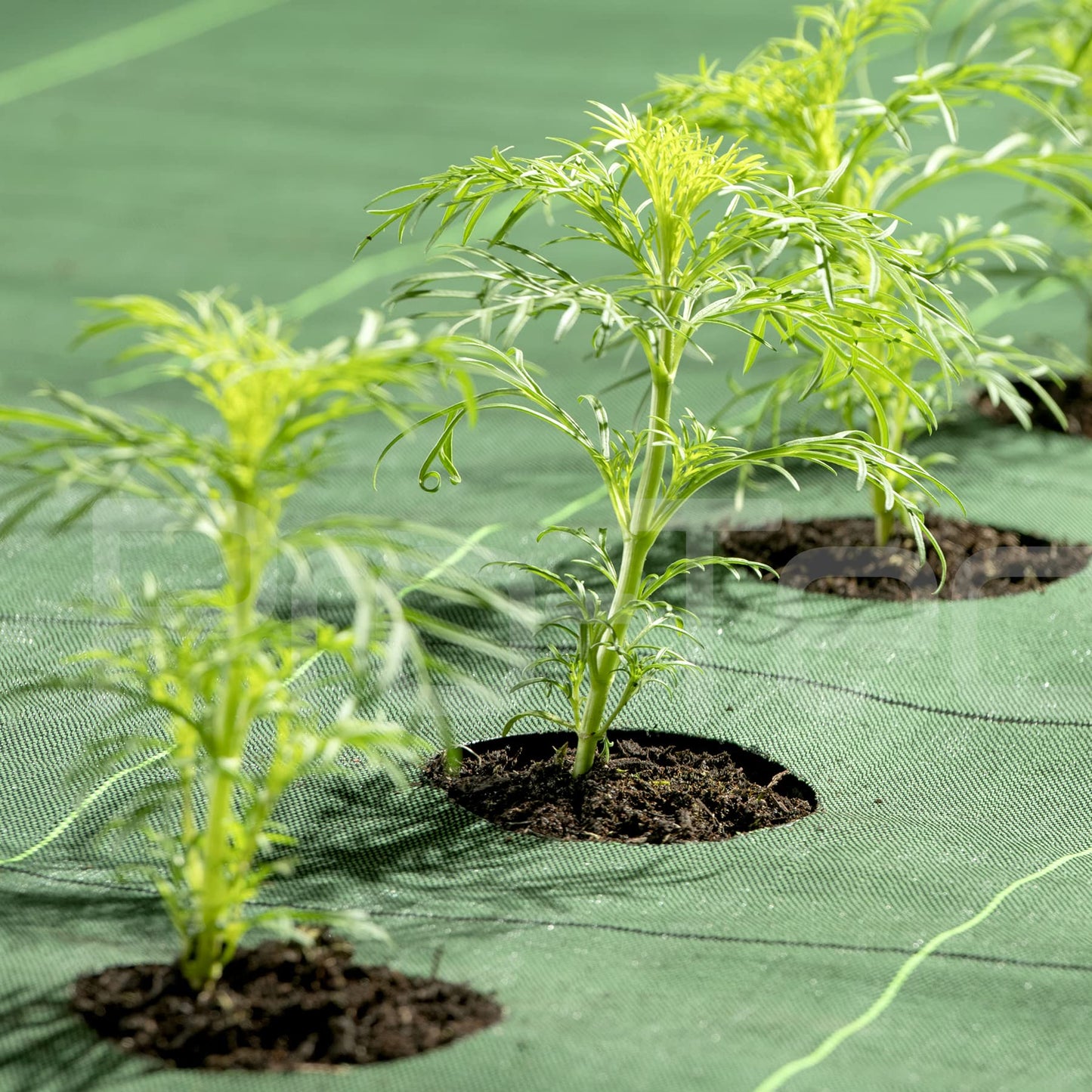 Pro-Tec 130gsm Commercial Grade Super Heavy Duty 1,2,3,4,5m Wide Weed Control Fabric Garden Ground Cover Membrane (3m x 10m)