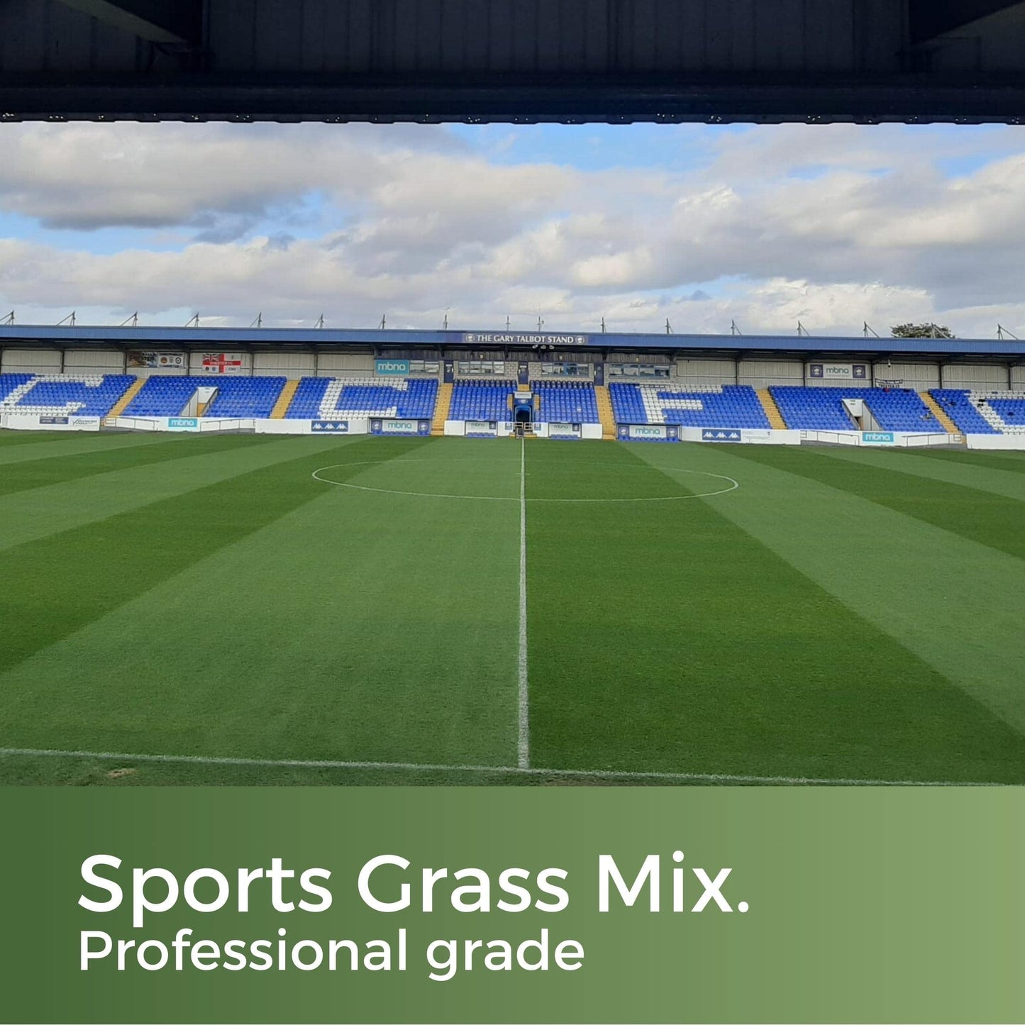 Pitch Perfect - Rye Grass Seed Sports Mix - Ultra Hard Wearing & Fast Growing - Garden Lawncare Guy 5kg