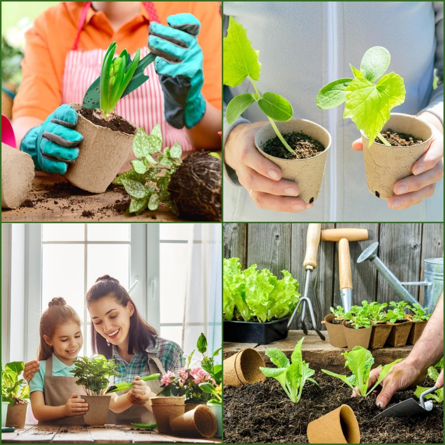 LATERN 100Pcs 8CM Biodegradable Fibre Seed Pots for Seedling and Transplanting with 100Pcs Plastic Plant labels (White 5cm x1cm)