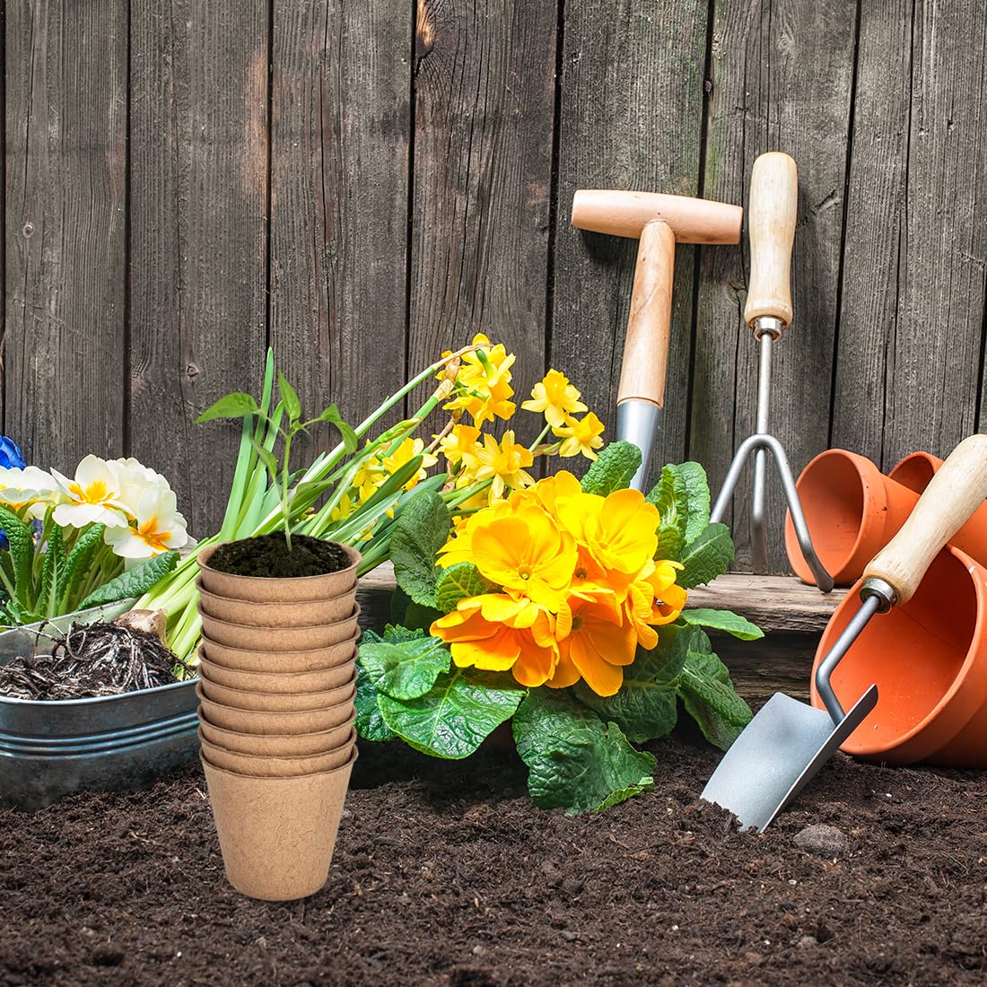 XIZAO Round Fibre Seed Pots, Biodegradable Plant Pots Germination Seedling Pots for Plant Cultivation Compostable Containers 50 Pcs